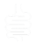 4g Prebiotic Fiber